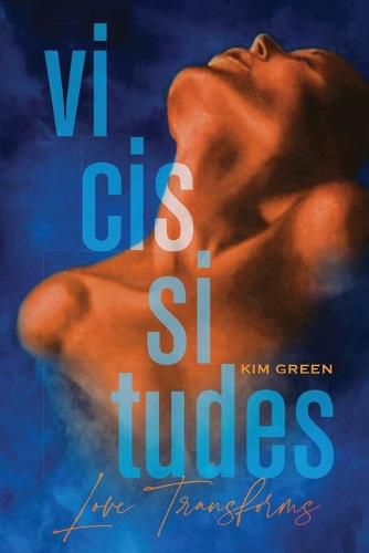 Cover image for Vicissitudes