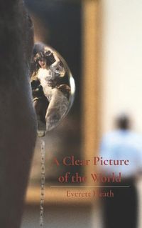 Cover image for A Clear Picture of the World