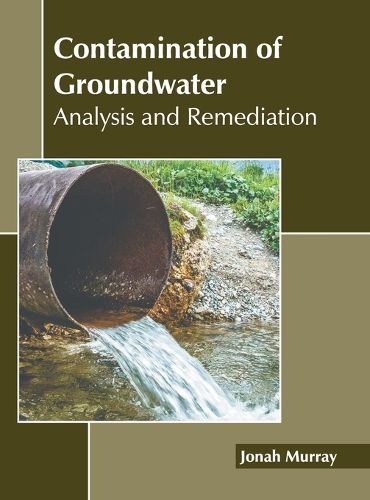 Cover image for Contamination of Groundwater: Analysis and Remediation