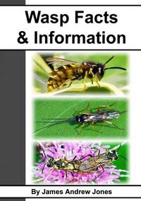 Cover image for Wasp Facts & Information