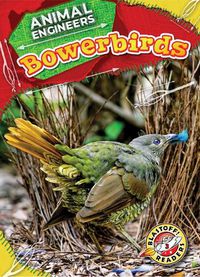 Cover image for Bowerbirds