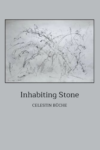 Cover image for Inhabiting Stone