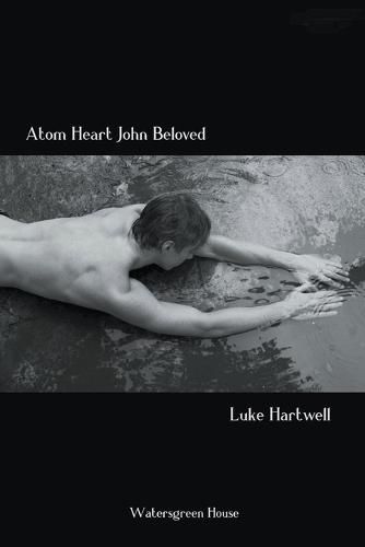 Cover image for Atom Heart John Beloved