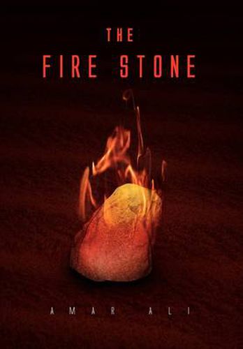 Cover image for The Fire Stone