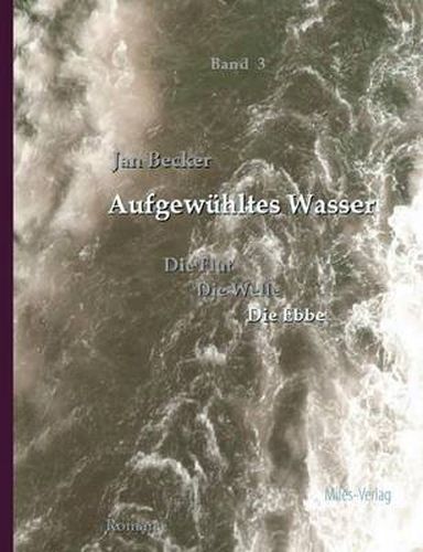 Cover image for Aufgewuhltes Wasser: Band 3: Die Ebbe