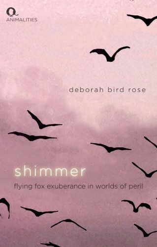 Cover image for Shimmer: Flying Fox Exuberance in Worlds of Peril