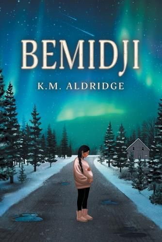 Cover image for Bemidji