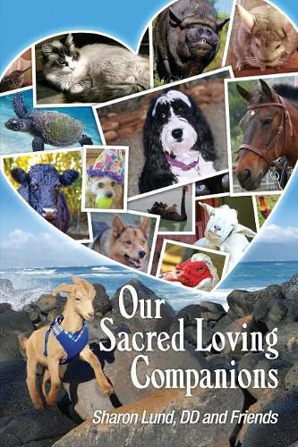 Cover image for Our Sacred Loving Companions