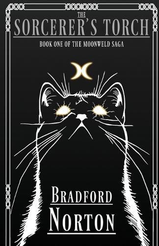 Cover image for The Sorcerer's Torch