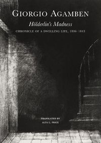 Cover image for Hoelderlin's Madness