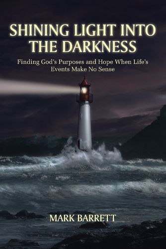 Cover image for Shining Light Into the Darkness