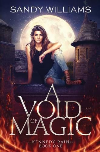 Cover image for A Void of Magic