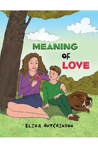 Cover image for Meaning of Love