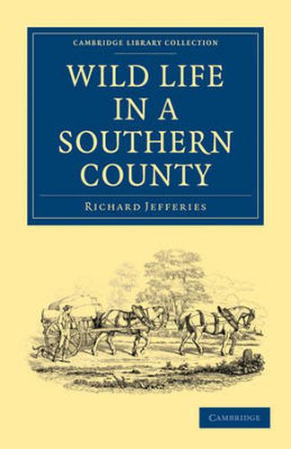 Cover image for Wild Life in a Southern County