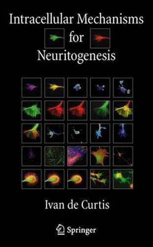 Cover image for Intracellular Mechanisms for Neuritogenesis