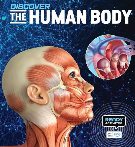Cover image for Discover: The Human Body (Ready Activated)