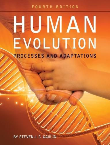 Cover image for Human Evolution