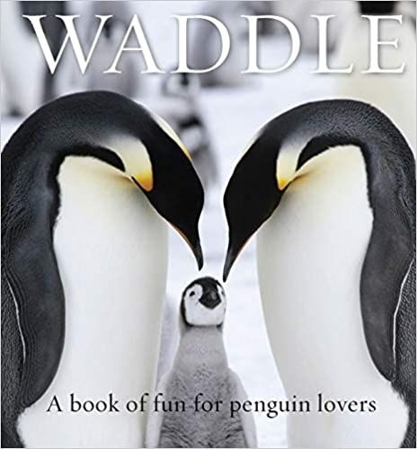 Waddle