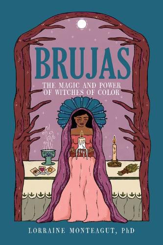 Cover image for Brujas