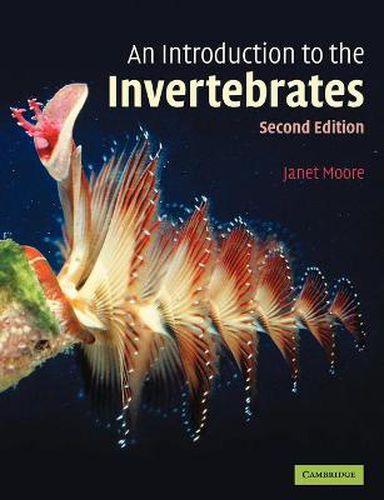 Cover image for An Introduction to the Invertebrates