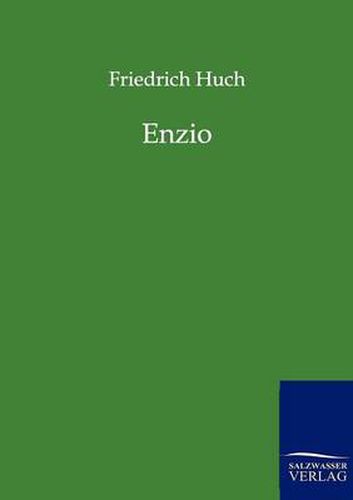 Cover image for Enzio