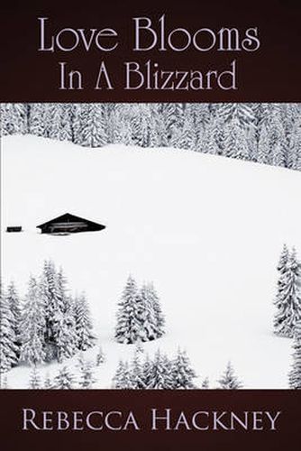 Cover image for Love Blooms in a Blizzard