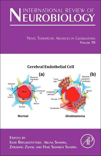 Cover image for Novel Therapeutic Advances in Glioblastoma