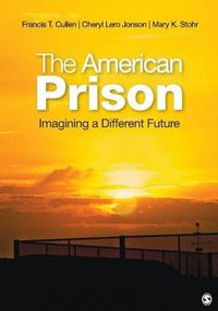 Cover image for The American Prison: Imagining a Different Future