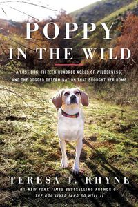 Cover image for Poppy in the Wild: A Lost Dog, Fifteen Hundred Acres of Wilderness, and the Dogged Determination that Brought Her Home