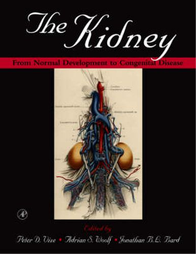 The Kidney: From Normal Development to Congenital Disease