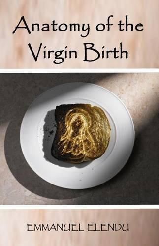 Cover image for Anatomy of the Virgin Birth