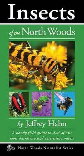 Cover image for Insects of the North Woods