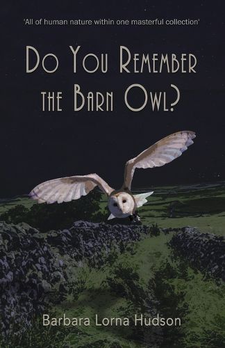 Cover image for Do You Remember The Barn Owl?