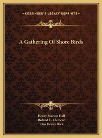 Cover image for A Gathering of Shore Birds a Gathering of Shore Birds