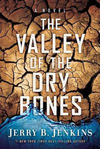 Cover image for THE VALLEY OF DRY BONES: A Novel