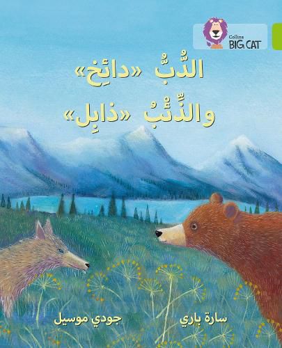 Cover image for Dizzy the Bear and Wilt the Wolf: Level 11