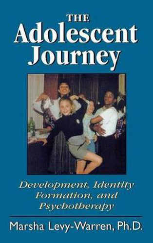 Cover image for The Adolescent Journey