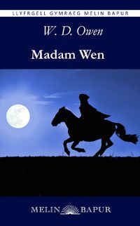 Cover image for Madam Wen