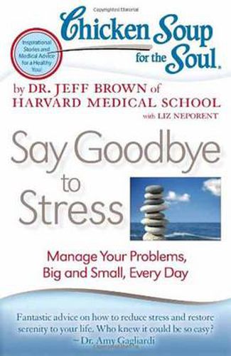 Chicken Soup for the Soul: Say Goodbye to Stress: Manage Your Problems, Big and Small, Every Day