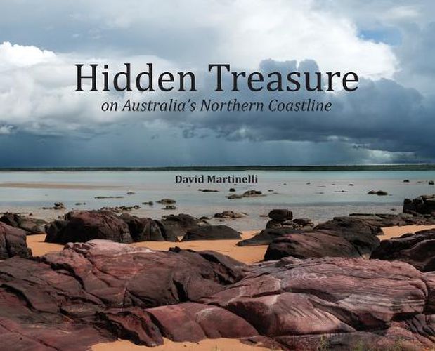 Cover image for Hidden Treasure