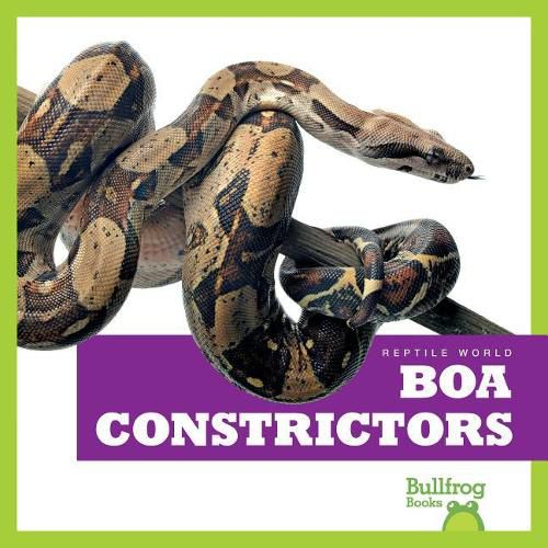 Cover image for Boa Constrictors