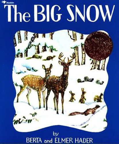 Cover image for The Big Snow