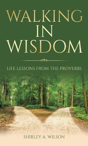 Cover image for Walking in Wisdom