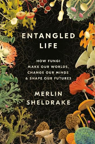 Cover image for Entangled Life: How Fungi Make Our Worlds, Change Our Minds & Shape Our Futures