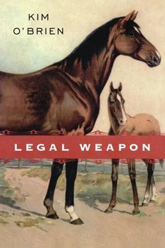 Cover image for Legal Weapon