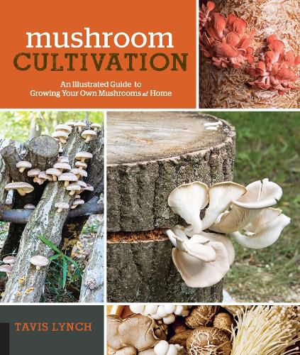 Cover image for Mushroom Cultivation: An Illustrated Guide to Growing Your Own Mushrooms at Home