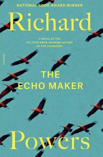 Cover image for The Echo Maker