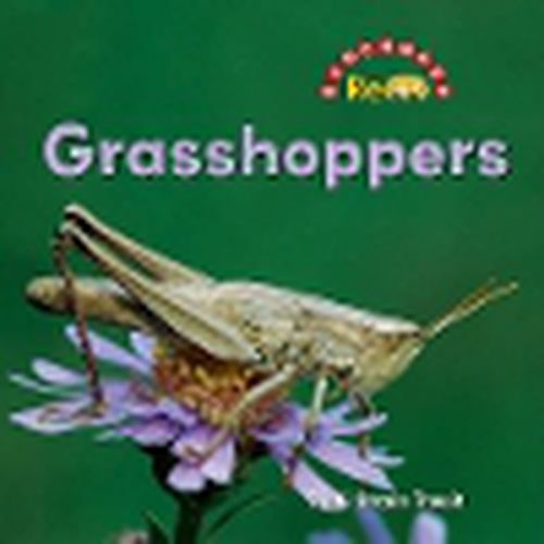 Cover image for Grasshoppers