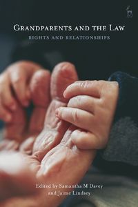 Cover image for Grandparents and the Law