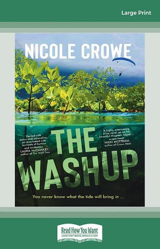 Cover image for The Washup